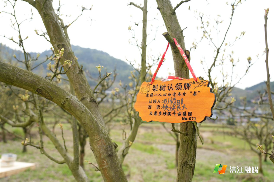 大崇乡03.png